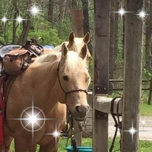 Meet your Posher, Connie